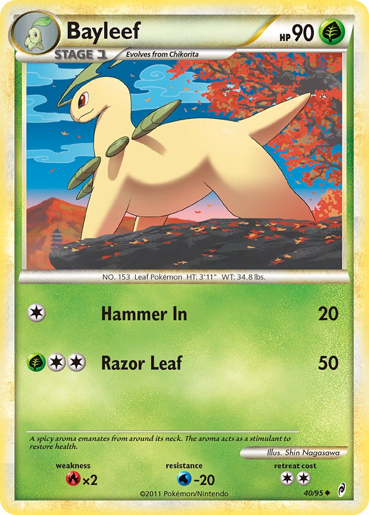 40/95 - Bayleef