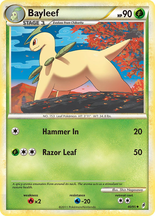 40/95 - Bayleef
