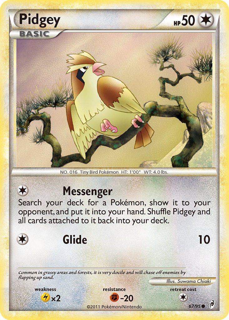 67/95 - Pidgey